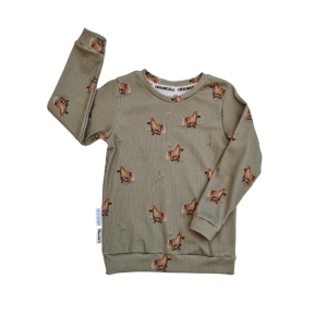 Sweater Pony 110